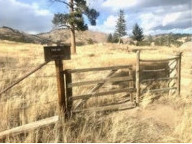 Sunshine Cemetery Gate