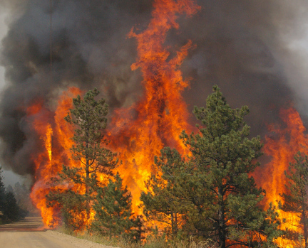 Fire along a road